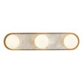 Load image into Gallery viewer, Alonso LED Vanity Light Brass