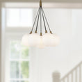 Load image into Gallery viewer, Bolla LED Chandelier