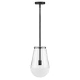 Load image into Gallery viewer, Beck Pendant - Black