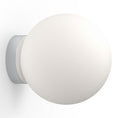 Load image into Gallery viewer, Bola Sphere Wall / Ceiling Light