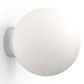 Load image into Gallery viewer, Bola Sphere Wall / Ceiling Light
