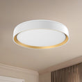 Load image into Gallery viewer, Essex LED Flush Mount