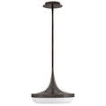 Load image into Gallery viewer, Elsa LED Convertible Pendant - Black Oxide