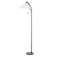 Load image into Gallery viewer, Aisa Floor Lamp