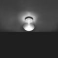 Load image into Gallery viewer, Empatia Wall/Ceiling Light