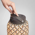 Load image into Gallery viewer, Nans Indoor/Outdoor LED Battery Table Lamp detail