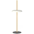 Load image into Gallery viewer, Nivel Rechargeable Portable Floor Lamp