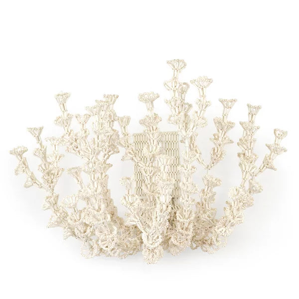 Seychelles Coco Wall Sconce