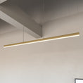 Load image into Gallery viewer, Vega LED Linear Pendant