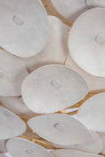 Load image into Gallery viewer, Corbett Lighting Aimi Chandelier