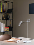 Load image into Gallery viewer, KDLN Bird Table Lamp