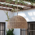 Load image into Gallery viewer, Troy Lighting Huxley Outdoor Pendant