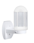 Load image into Gallery viewer, 3151 Series Outdoor Wall Sconce - White Finish Frost Glass