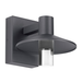 Ash 8" Outdoor Wall Sconce - Charcoal Finish
