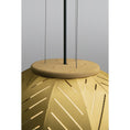 Load image into Gallery viewer, Amicus Pendant - White Washed Oak