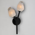 Load image into Gallery viewer, Blossom Wall Sconce - Display