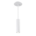 Load image into Gallery viewer, Caliber LED Indoor Outdoor Pendant - White Finish