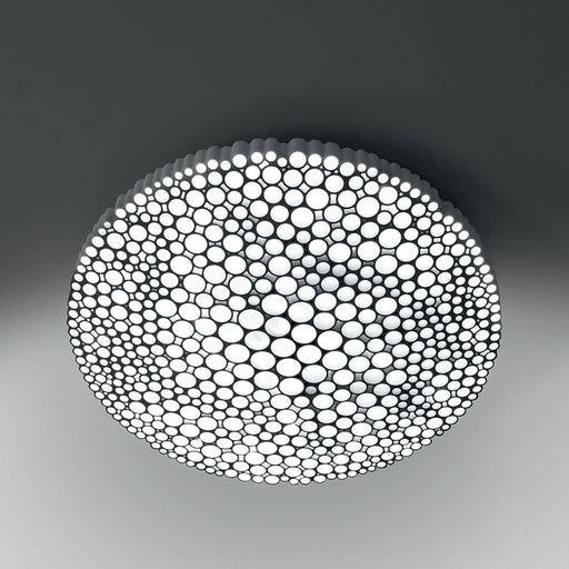 Calipso Wall / Ceiling Light