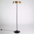 Load image into Gallery viewer, China LED Floor Lamp - Brass Shade