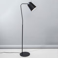 Load image into Gallery viewer, Dodo Floor Lamp - Black Finish