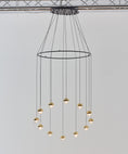 Load image into Gallery viewer, Dora P12 with Ring Multi-Light Pendant - Display