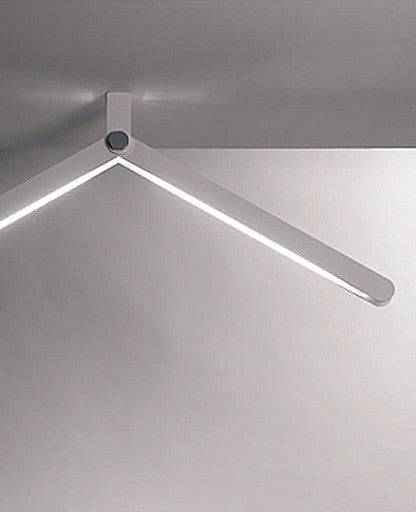 Flex Ceiling Light