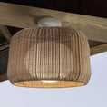 Load image into Gallery viewer, Fora Outdoor Ceiling Light