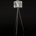 Load image into Gallery viewer, H20 Floor Lamp