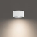 Load image into Gallery viewer, I Spy Outdoor LED Flush Mount - Display