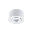 Load image into Gallery viewer, I Spy Outdoor LED Flush Mount - White Finish