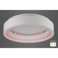 Load image into Gallery viewer, I Corona Flush Mount Ceiling Light - Red Light