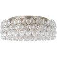 Load image into Gallery viewer, Liscia Large Flush Mount - Burnished Silver Leaf Finish