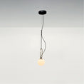 Load image into Gallery viewer, NH Small Pendant - Black/Brushed Brass Finish