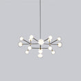 Load image into Gallery viewer, Nabila 16-Light Round Chandelier - Matte Black/Brushed Brass Finish