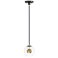 Load image into Gallery viewer, Nucleus LED Pendant - Black/Aged Brass Finish