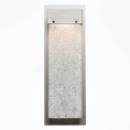 Load image into Gallery viewer, Parallel Glass LED Wall Sconce - Clear Rime/Metallic Beige Silver