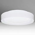 Load image into Gallery viewer, Pella 16" LED Flushmount Ceiling Light Opal Matte