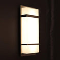 Load image into Gallery viewer, Phantom Outdoor LED Wall Light - Display
