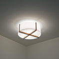 Load image into Gallery viewer, Plura Flush Mount Ceiling Light - Display