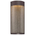 Load image into Gallery viewer, Rain 16" Outdoor Wall Light - Bronze Finish