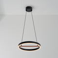 Load image into Gallery viewer, Sol Small LED Pendant - Black/Copper Finish