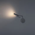 Load image into Gallery viewer, Sprig LED Wall Sconce - Detail