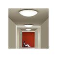 Load image into Gallery viewer, Trama Wall/Ceiling Light