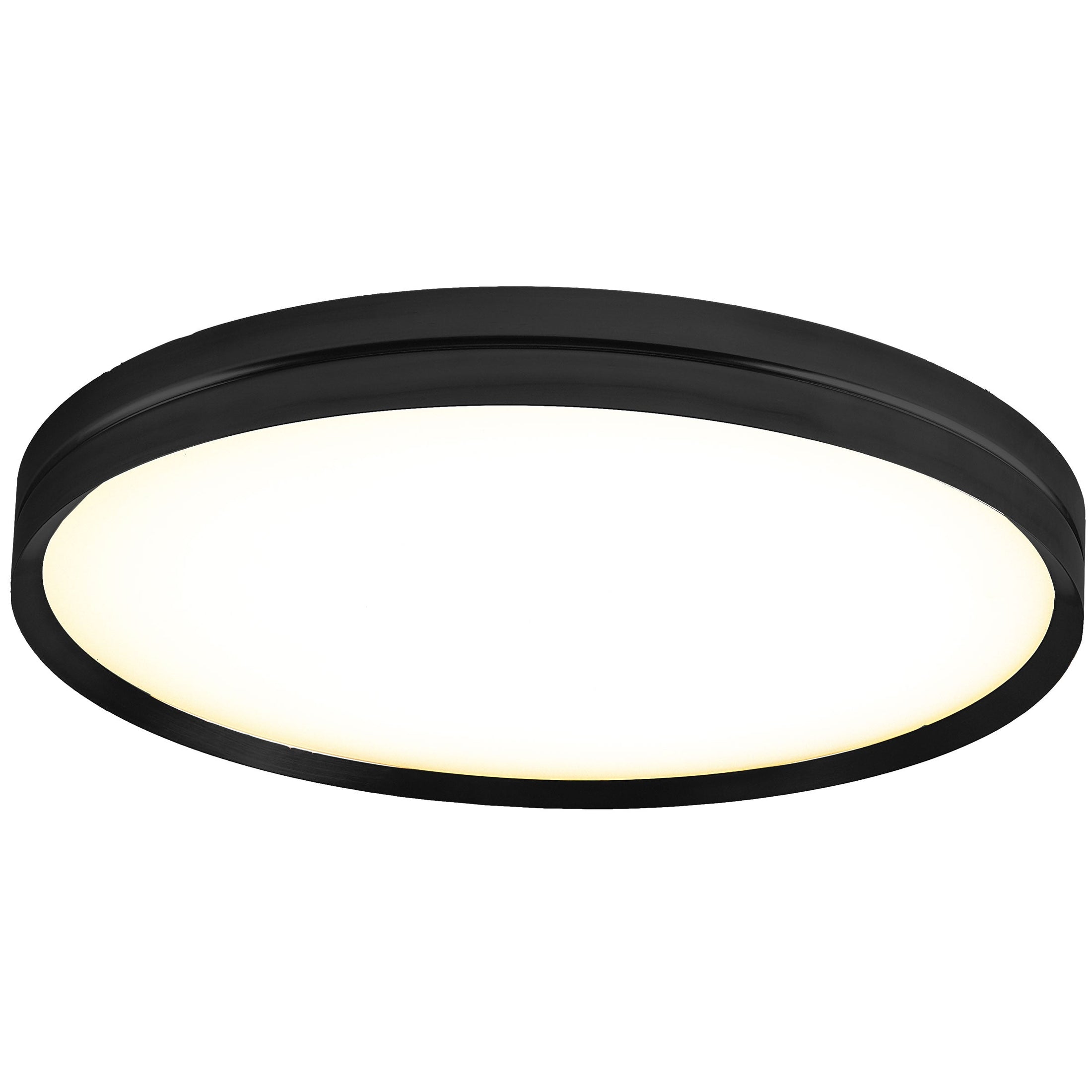 Lite Hole Wall/Ceiling Light