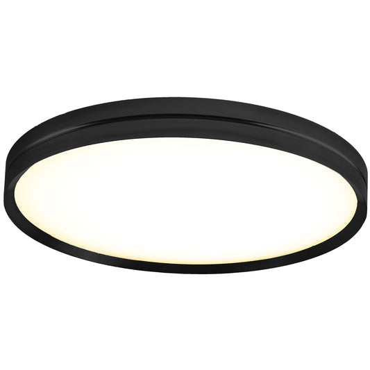 Lite Hole Wall/Ceiling Light