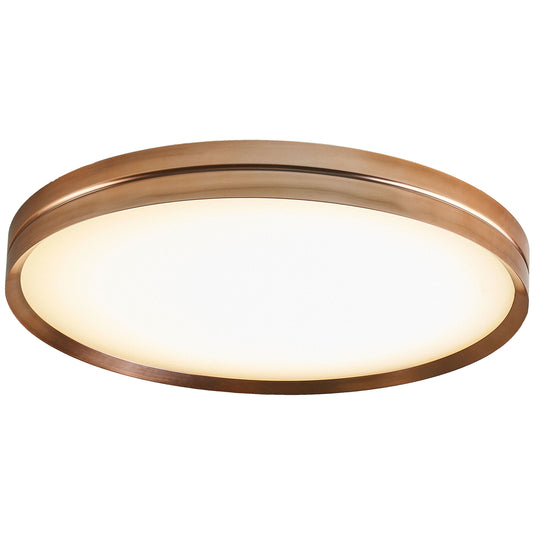 Lite Hole Wall/Ceiling Light
