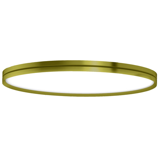 Lite Hole Wall/Ceiling Light