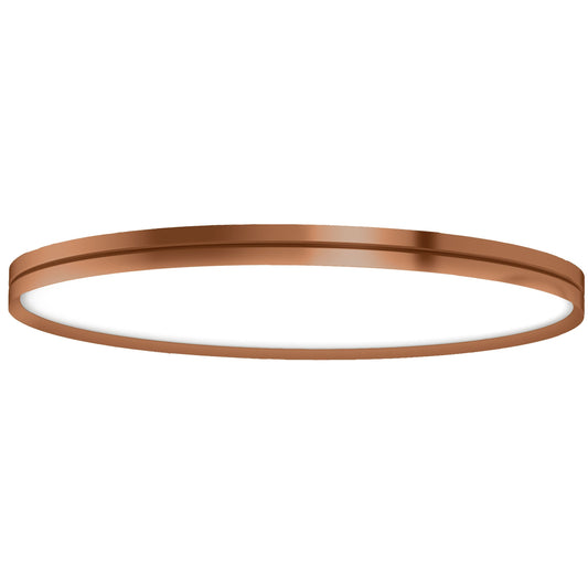 Lite Hole Wall/Ceiling Light