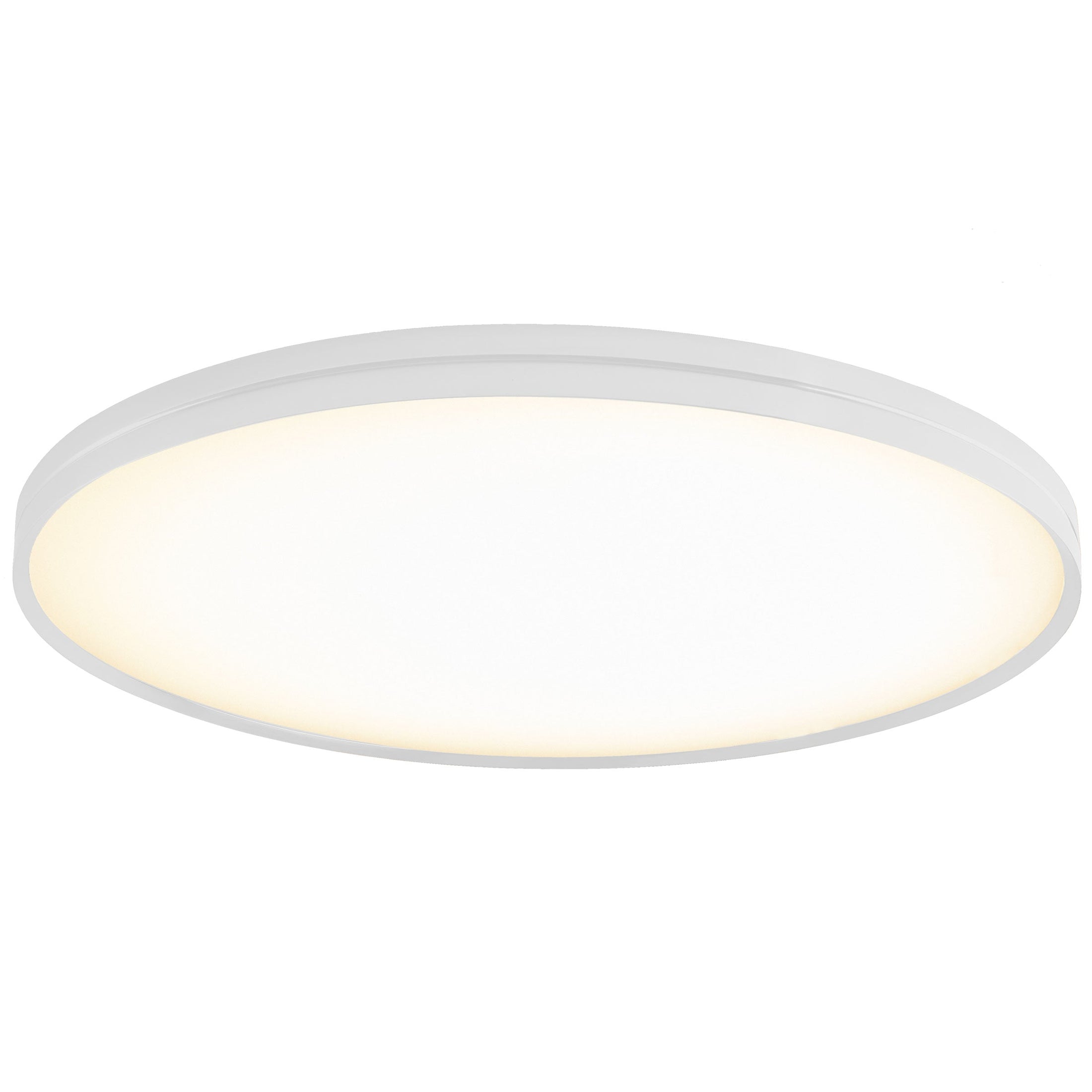 Lite Hole Wall/Ceiling Light