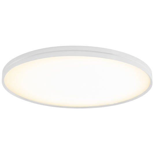 Lite Hole Wall/Ceiling Light